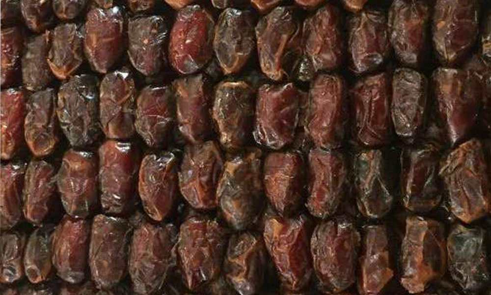 High quality iranian dates for sale