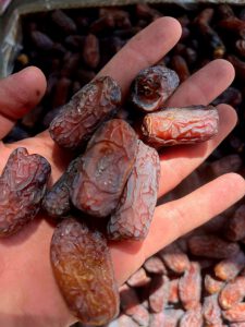 piarom dates - High quality iranian dates for sale