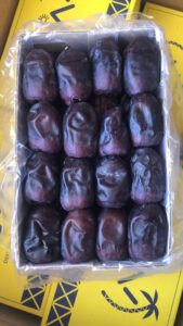 mazafati dates - High quality iranian dates for sale